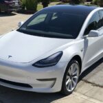 Hobbiton Movie Set Small Group Private Transfer from Auckland - Exploring Hobbiton: The Heart of the Tour