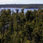 Hokitika: West Coast Tree Top Tower Zip Line and Walk - The Itinerary Breakdown