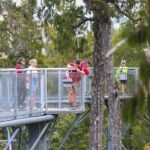 Hokitika: West Coast Treetop Walkway Entrance Ticket - The Cost-Value Balance