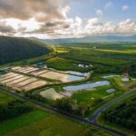 Hook A Barra Fishing Experience - FAQ