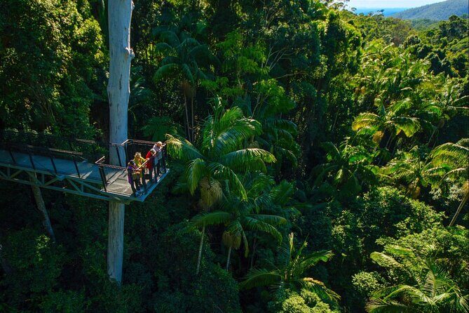 Hop on Hop off - Tamborine Rainforest Skywalk + Glow Worm Caves - Evaluating the Value