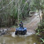 Horse and Quad bike tour with a visit to a Petting Zoo - The Practicalities: Pricing, Duration, and Group Size