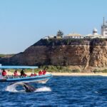 Humpback Whale Encounter Tour from Newcastle - FAQ