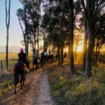 Hunter Valley: Sunset Horse Riding Tour 90min - The Value of the Experience