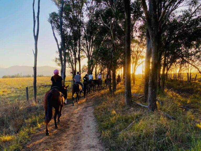Hunter Valley: Sunset Horse Riding Tour 90min - The Value of the Experience