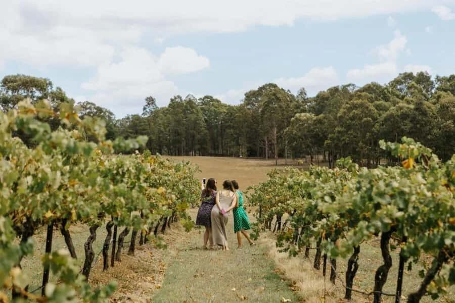 Hunter Valley: Tastes of the Hunter Half Day Tour - Who Should Consider This Tour?