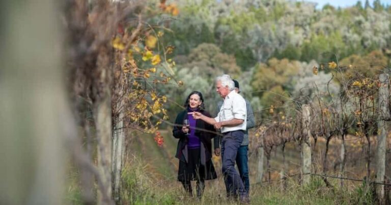 Hunter Valley Tour + Hop-on-Hop-off Big Bus Discover Ticket - How the Combo Enhances Your Experience