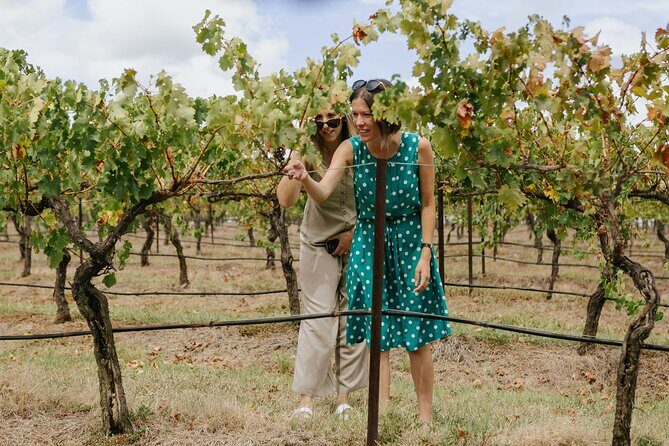 Hunter Valley Wine, Food & Vine Tour with Behind the Scenes - Value and Practical Considerations