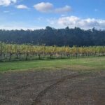Huon Valley Wine and Cider Tour - Hobart and SE Tasmania - Transportation, Price, and Overall Value