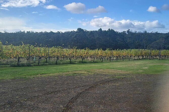 Huon Valley Wine and Cider Tour - Hobart and SE Tasmania - Transportation, Price, and Overall Value
