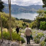 Iconic Shore Excursion: Iconic Larnach Castle Tour - Transportation and Group Size