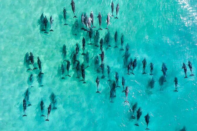 Inner Reef Explorer - 30 minute Reef Scenic Flight - The Experience: What You Can Expect