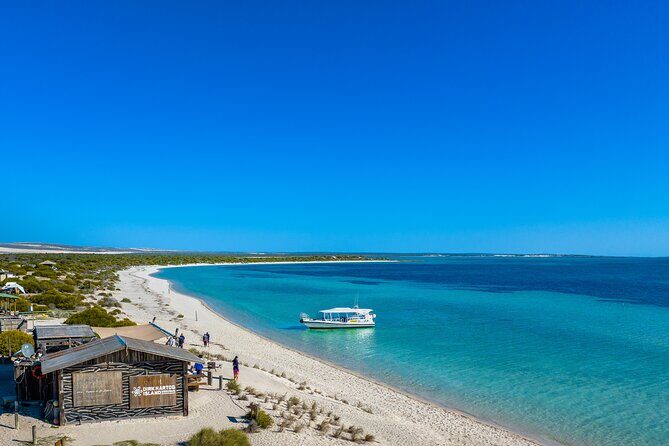 Island Life Adventures | A Day at Dirk - Who Will Love This Tour?