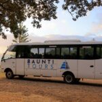 Island Orientation Package incl. Return Airport Transfers & Tour - Authentic Insights and Local Flavor