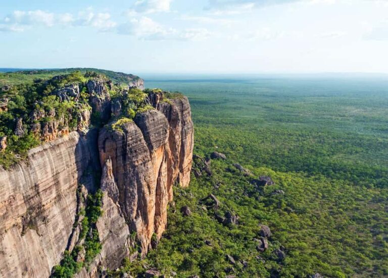 Jabiru: Guided Flight over Kakadu National Park - What You’ll Love About the Kakadu Flight