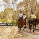 Jacobs Creek Vineyard Horse Ride and Tasting - The Itinerary: What Does a Typical Day Look Like?