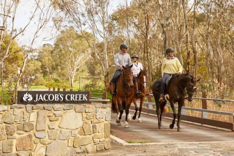 Jacobs Creek Vineyard Horse Ride and Tasting - The Itinerary: What Does a Typical Day Look Like?