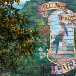 Japanese Tour Small Group: Blue Mountains, Scenic World, Zoo - Practical Details