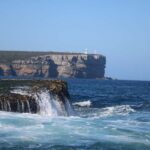 Jervis Bay: 2-Hour Cruise of Jervis Bay Passage - What Makes This Cruise Stand Out