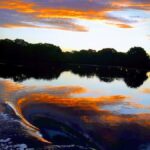 Jervis Bay: 2-Hour Sunset River Cruise - Who Would Love This Experience?