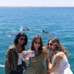 Jervis Bay Dolphin Cruise, Lunch, Berry&Kiama Blowhole Tour - What’s Included and What to Keep in Mind