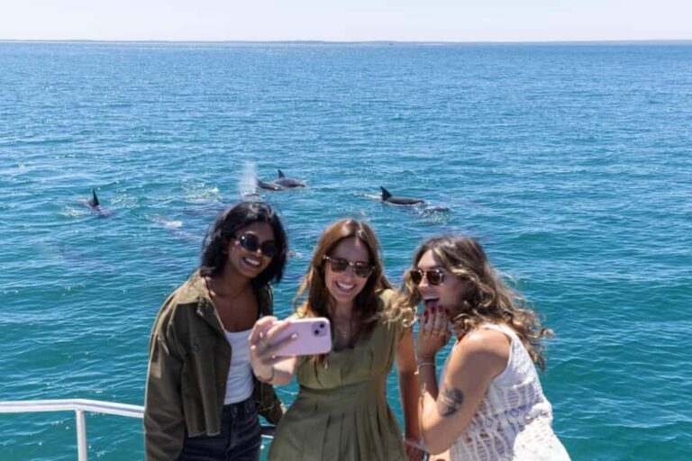 Jervis Bay Dolphin Cruise, Lunch, Berry&Kiama Blowhole Tour - What’s Included and What to Keep in Mind