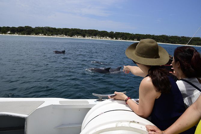 Jervis Bay Dolphin Cruise - The Sum Up: Is the Jervis Bay Dolphin Cruise Worth It?