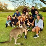 Jervis Bay Highlights Tour  Small Group Experience Scenic Coast - Pricing and Value