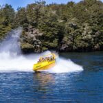 Jet Boat Journey through Fiordland National Park - Pure Wilderness - Mounting the Experience: Spins, Speed, and Sightings