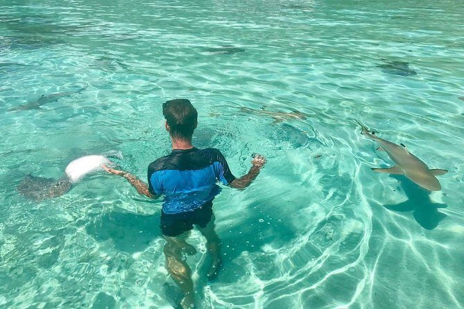 Jet Ski Moorea Customed Tour only - Who This Tour Is Best For