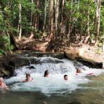 Jumping Croc Cruise, Berry Springs,Fogg Dam & Humpty Doo Pub - The Practical Side: What to Expect and How to Prepare