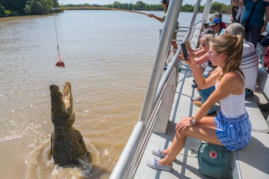 Jumping Crocodile Cruise from Darwin Half-Day Scenic Trip - The Value of the Tour