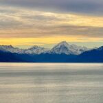 Kaikoura Albatross Encounter Tour from Christchurch - Detailed Breakdown of the Itinerary