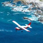 Kaikoura: Coastal and Alpine Scenic Airplane Flight - Authentic Traveler Perspectives
