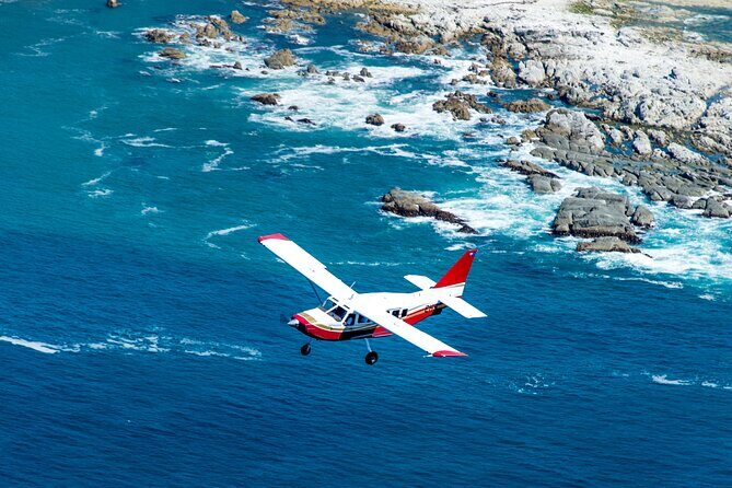 Kaikoura: Coastal and Alpine Scenic Airplane Flight - Authentic Traveler Perspectives