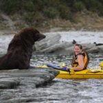 Kaikoura: Half-Day Wildlife Kayaking Tour - What Reviewers Say: Authentic Voices