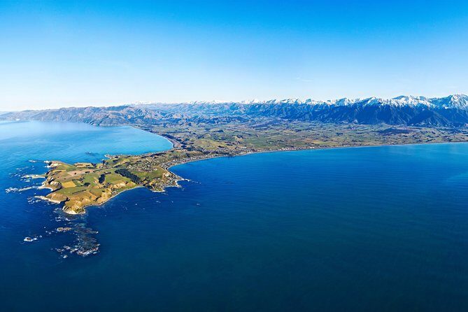 Kaikoura Helicopters Classic Whale Watch - The Verdict