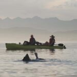 Kaikoura: Private Guided Kayak Tour with Seals - The Overall Value