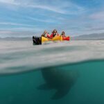 Kaikoura: Seal-Watching Pedal Kayak Tour - Who Should Consider This Tour?