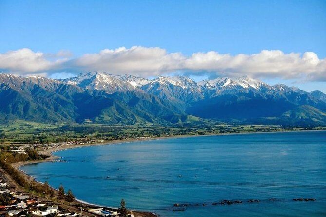 Kaikoura Swim with Dolphins Tour from Christchurch - FAQ