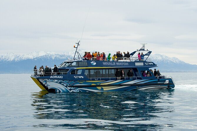 Kaikoura Whale and Dolphin Overnight Tour from Christchurch - What Travelers Say: Authentic Perspectives