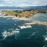 Kaikoura Whale Watch Tour from Christchurch - Small Group - What Travelers Are Saying