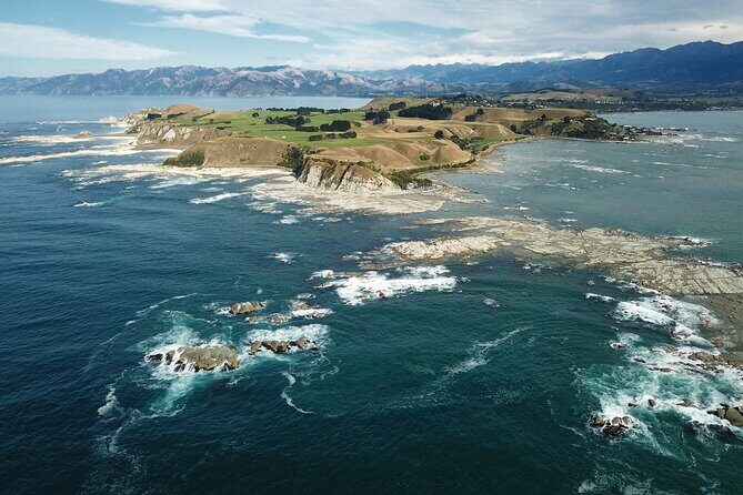 Kaikoura Whale Watch Tour from Christchurch - Small Group - What Travelers Are Saying