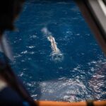 Kaikoura: Whale Watching Flight with Commentary - Breaking Down the Itinerary