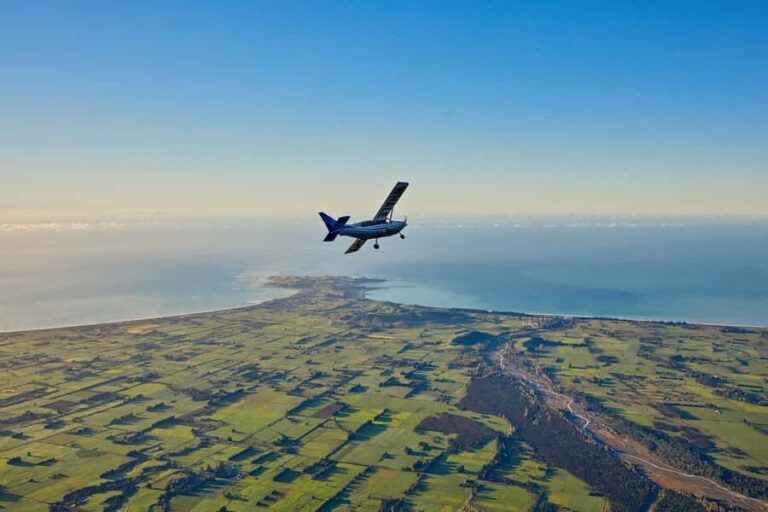 Kaikoura: Whale Watching Flight with Guided Commentary - The Value: Is It Worth the Cost?