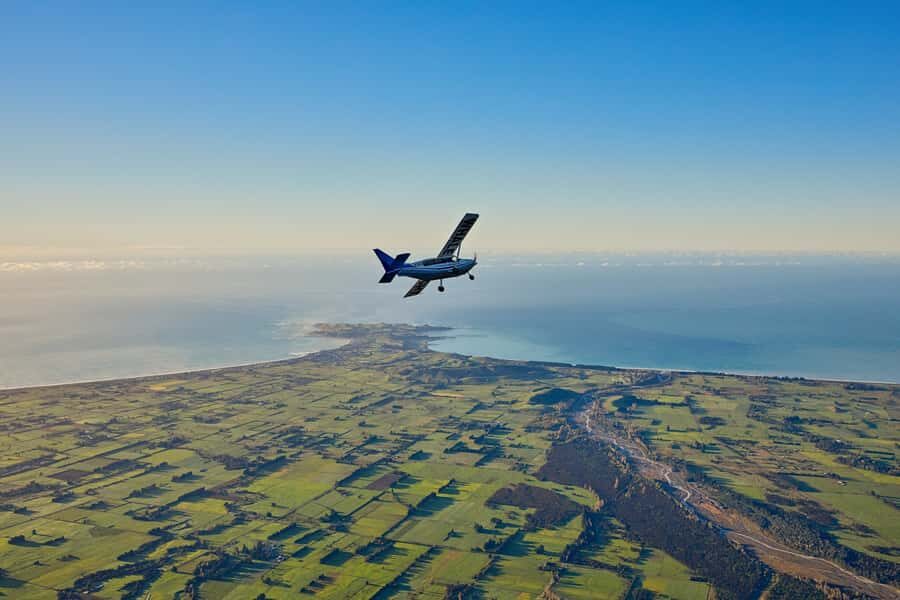 Kaikoura: Whale Watching Flight with Guided Commentary - The Value: Is It Worth the Cost?