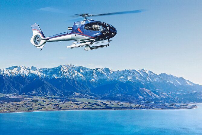 Kaikoura Whales - The Scenic Flight: From Christchurch to Kaikoura