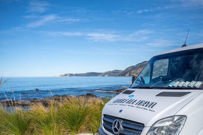 Kaikura Day Tour From Christchurch With Dolphin Encounter - Why This Tour Offers Great Value