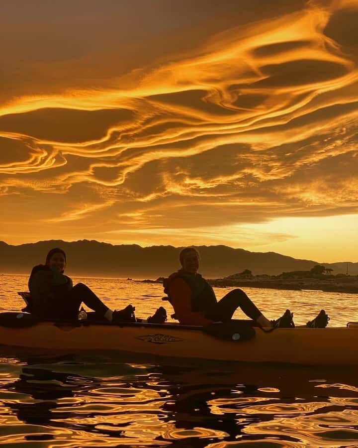 Kaikura: Kayak Sunset Tour with Seal Sightings - The Value and Practical Considerations