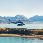 Kaikura Whale Watching and Scenic Landing - 1hr Premier Tour - Detailed Breakdown of the Itinerary